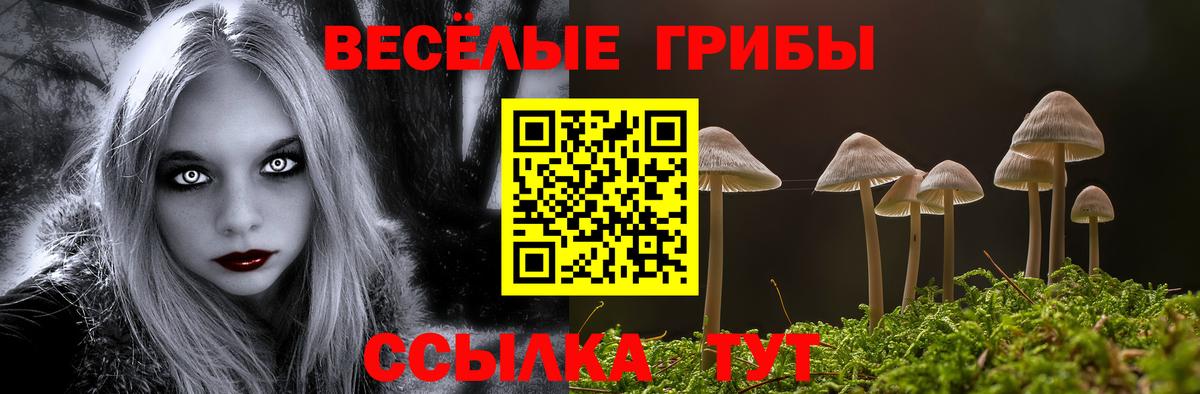 Псилоцибиновые грибы Cubensis  Псилоцибиновые грибы ЛСД  Новоалтайск  Вход с VPN 